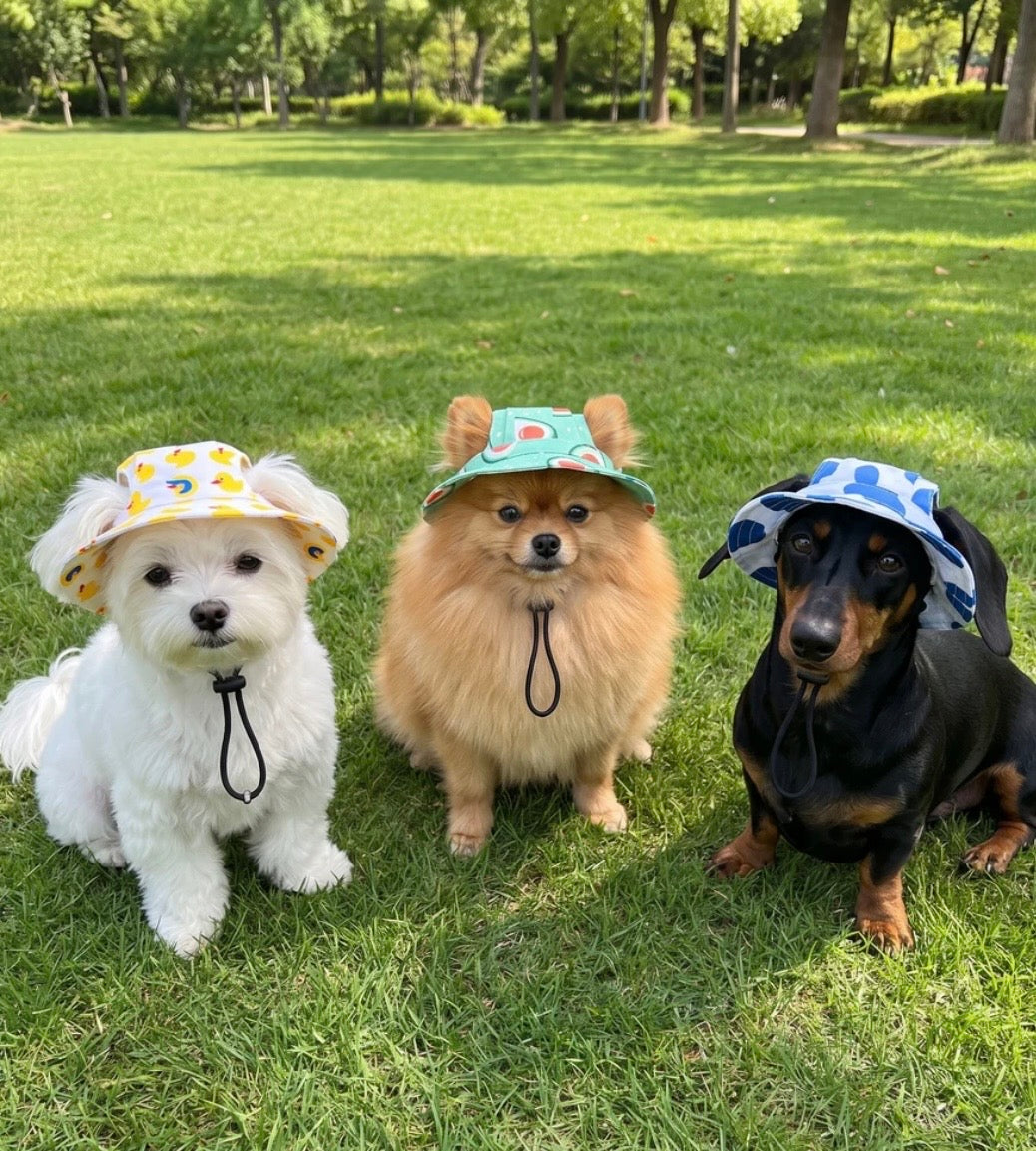 Pet Bucket Hat