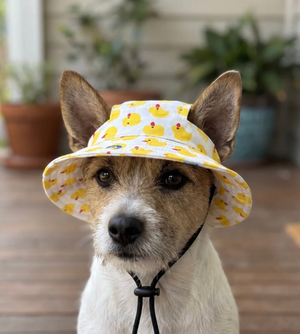 Pet Bucket Hat